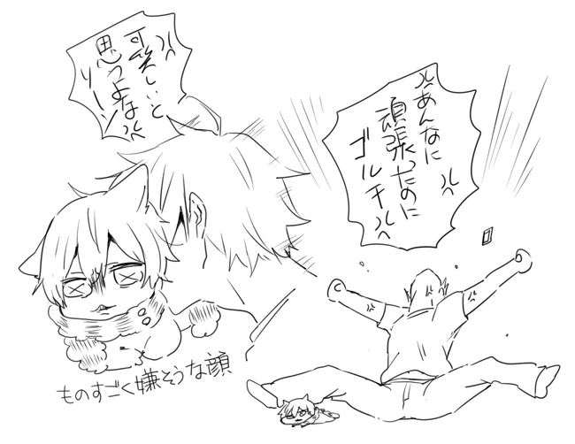 ※猫実録 