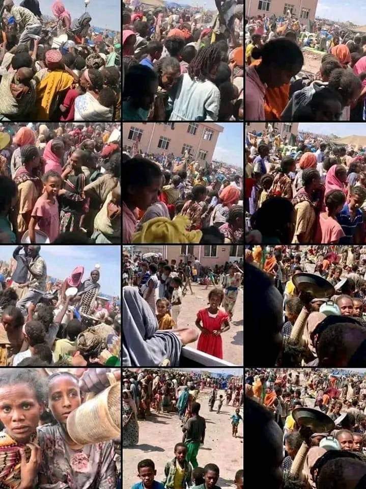 MellathM's tweet photo. #tigraygenocide
#Endtigraysiege
#EndTigrayFamine 
#Allowaccesstotigray
#Stoptigraymassarrest
#Worldactnow
#UNactnow
#justicefortigray
Tigray genocide is 641 days off. 15 thousand people in Concentration Camp in Afar Samara, they suffered too much lack of medicine and food. 💔😭 https://t.co/ckrlX0TRvJ