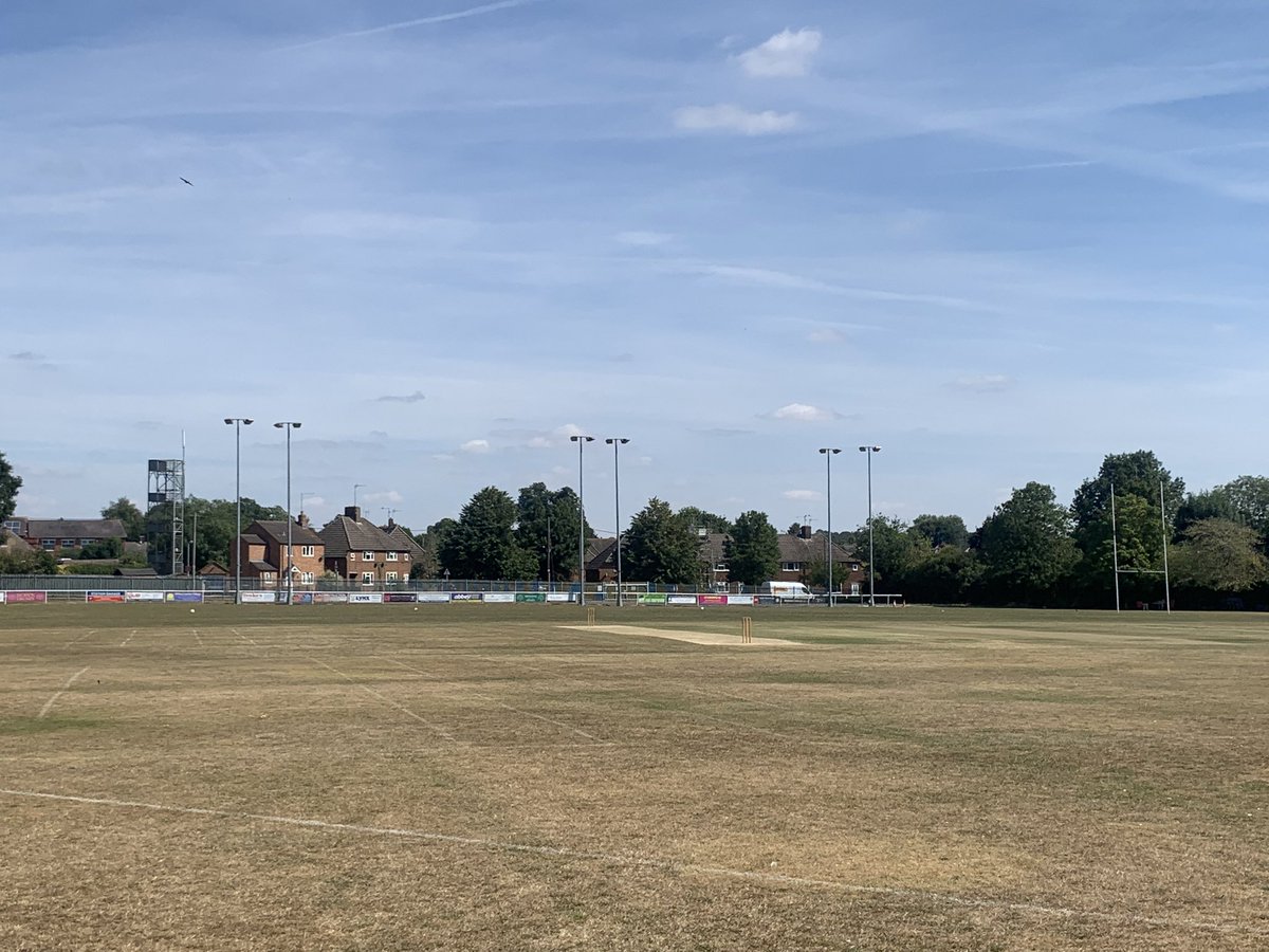 Long Buckby Cricket tweet media