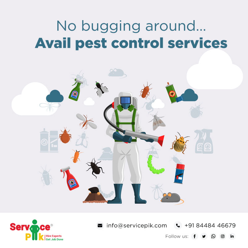 pik_service's tweet photo. Take a wise step to shoo away pests with the effective pest control services of ServicePik. For bookings, call us at +91 8448446679. 
#pestcontrol #pestcontrolservice #rats #bugs #cleanhome #serviceondemand #cockroach #pests #booknow https://t.co/XOIcoYDoj6
