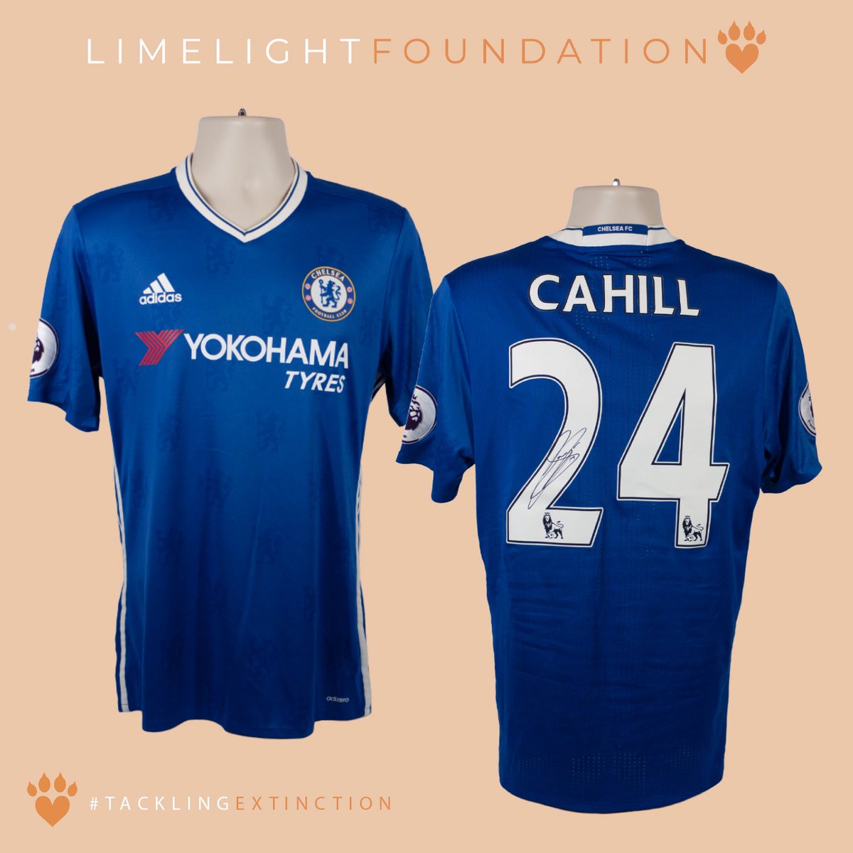 Win 2X <a href="/premierleague/">Premier League</a> winner, <a href="/GaryJCahill/">Gary Cahill</a> signed <a href="/ChelseaFC/">Chelsea FC</a> shirt with all proceeds going towards wildlife conservation🐾 
Visit <a href="/TheLimelightFDN/">The Limelight Foundation</a> website for a chance to win!🔵
#TacklingExtinction 
#chelsea #cfc #cahill #garycahill #football #chelseafc #premierleague