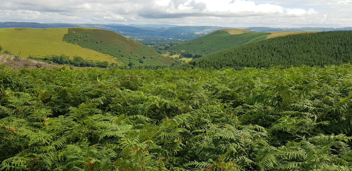 threadblogs's tweet image. Great hols at #redkitebarn @chillderness.