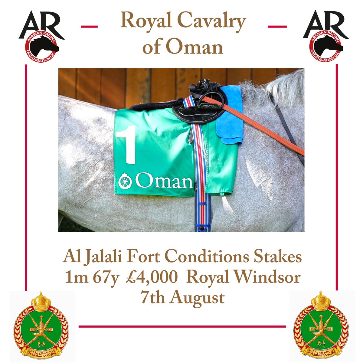 ARO_Racing's tweet photo. Read about #royalcavalryoman #aljalalifort 🛕🇴🇲 🏇#novice @WindsorRaces 5.10pm #sunday 👉 https://t.co/2szxDKlCMR 👀 #4 JACKORA #NONRUNNER 🚫4️⃣
#runnersandriders @JPOwenRacing @racing_hunt @PeterHammersle3 @amajox @ArabianRH @ToteRacing @SkySportsRacing @EquineMediRec @timesoman1 https://t.co/BXlO71qIYq