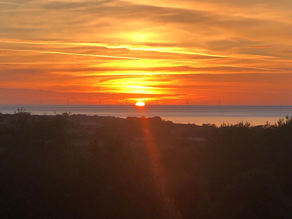 Early start this morning moving the bees to the Wicklow Mountains in search of the Heather Honey crop. Lovely morning for it.