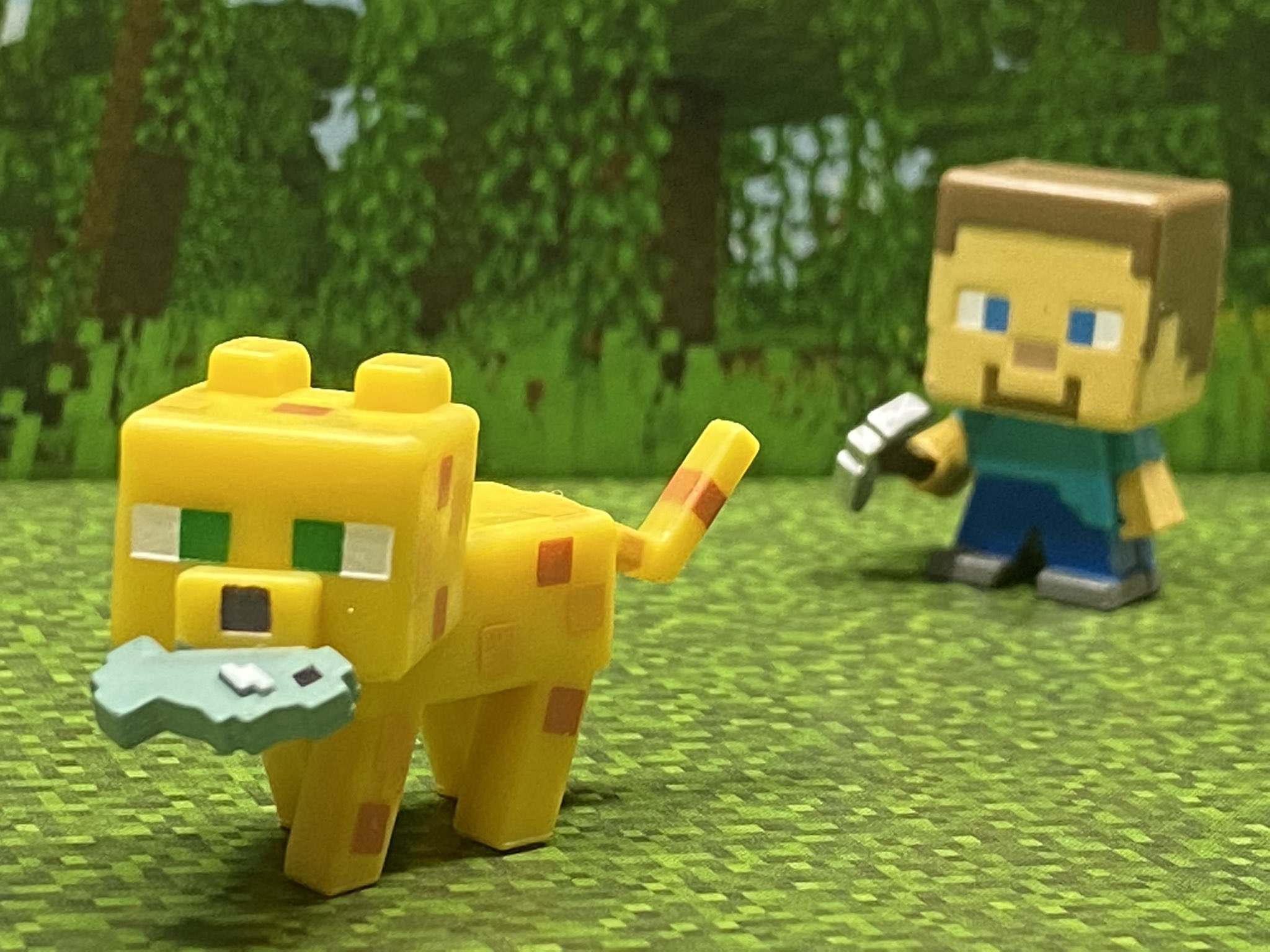 Minecraft Mini Photo Club お魚返せーッ Minecraft マインクラフト T Co Nrv5rcuzdm Twitter