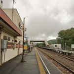 ツイートに含まれる画像