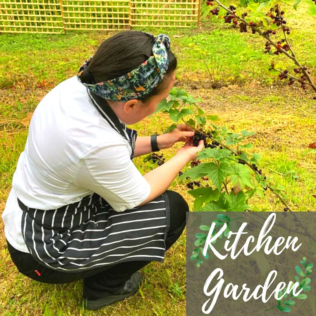 🌿Our kitchen garden is taking shape and we are now harvesting the rewards!🌿

Join us for some summer dining 🍽 al fresco and enjoy the gardens, sea views and great fresh produce🍓🥗🥚🥕

See our restaurant and menus👇
skyehotel.co.uk/duisdale/dine/