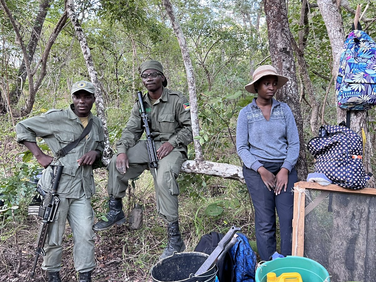 Robert Anemone tweet media