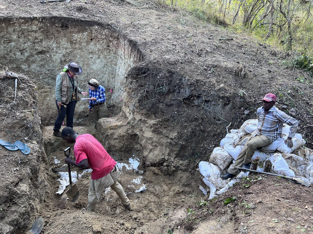 Robert Anemone tweet media