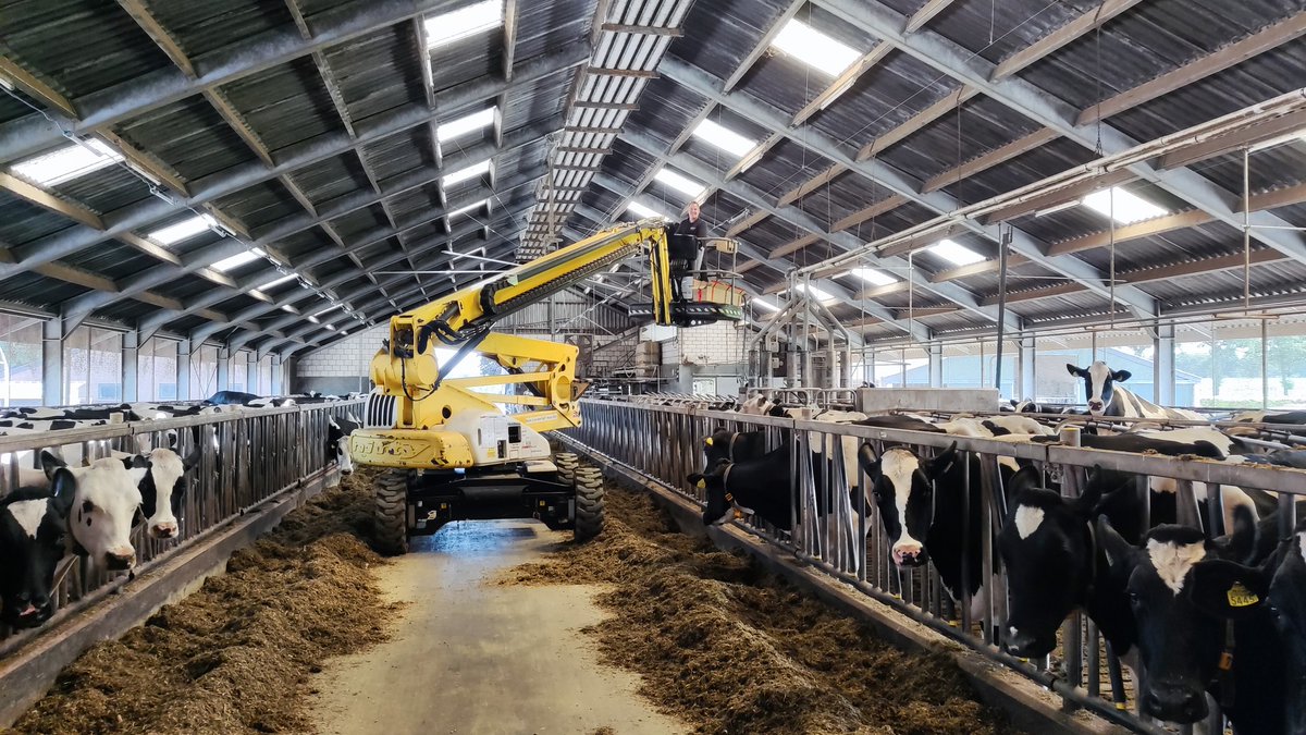 Innovative Farming Solutions is excited to partner with HATO Agricultural Lighting for cattle in Australian Only. HATO can provide an optimal light climate to helps cattle see, feel and perform better. The result? A potential milk yield increase of over 8%!