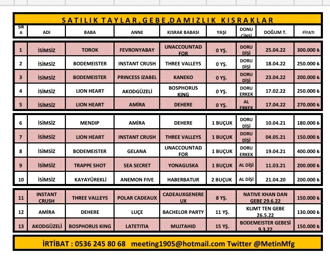 MetinMfg's tweet photo. #SatılıkTay Ve #SatılıkGebeKısrak babalar:#Torok #Bodemeister #Lionheart #Mendip #TrapeShot irtibat 05362458068 https://t.co/5the6WCVgD