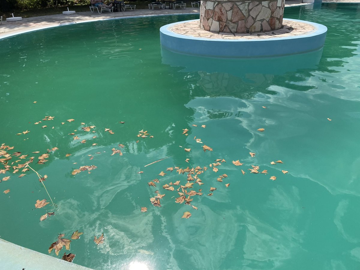 Kate_J_Willis's tweet photo. @TUIUK That’s number is a waste of time - your app is a waste of time - look at this pool, stagnant and smelly. We will not be letting this go https://t.co/3SyDzMceTc