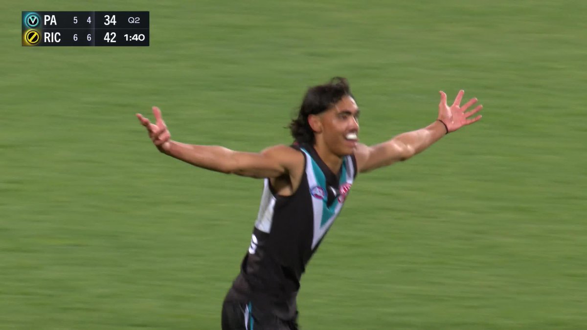 @AFL's photo on #AFLPowerTigers