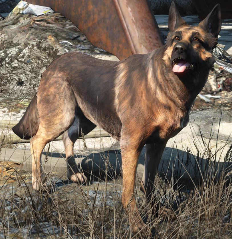 Screenshot von Dogmeat aus Fallout 4.
