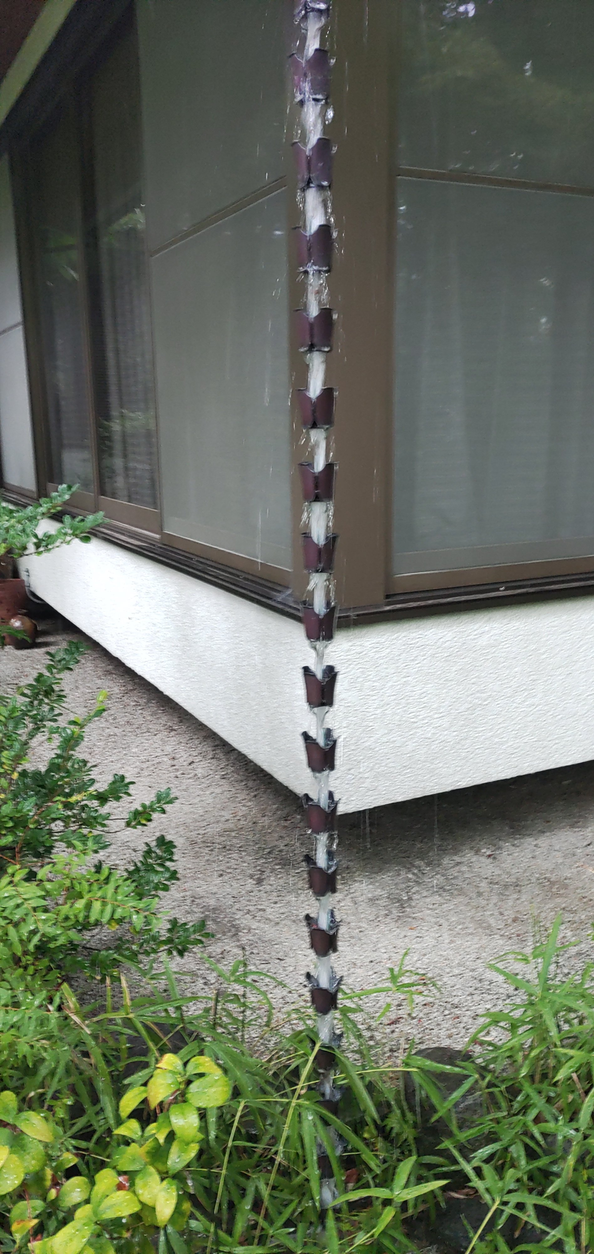 冬竜 そんなことはさておき写真整理 昨日ゲリラ豪雨にあった時の写真が個人的に良かった ガラスの向こう側 屋根から落ちてくる雨がシャンデリアのようで 鎖樋は滝のようで 傘持ちながらビッシャビシャになりながらだけど 雨の時にしか見れない感じ