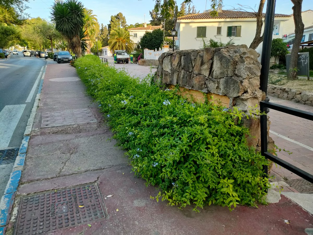 Vivir Marbella tweet media