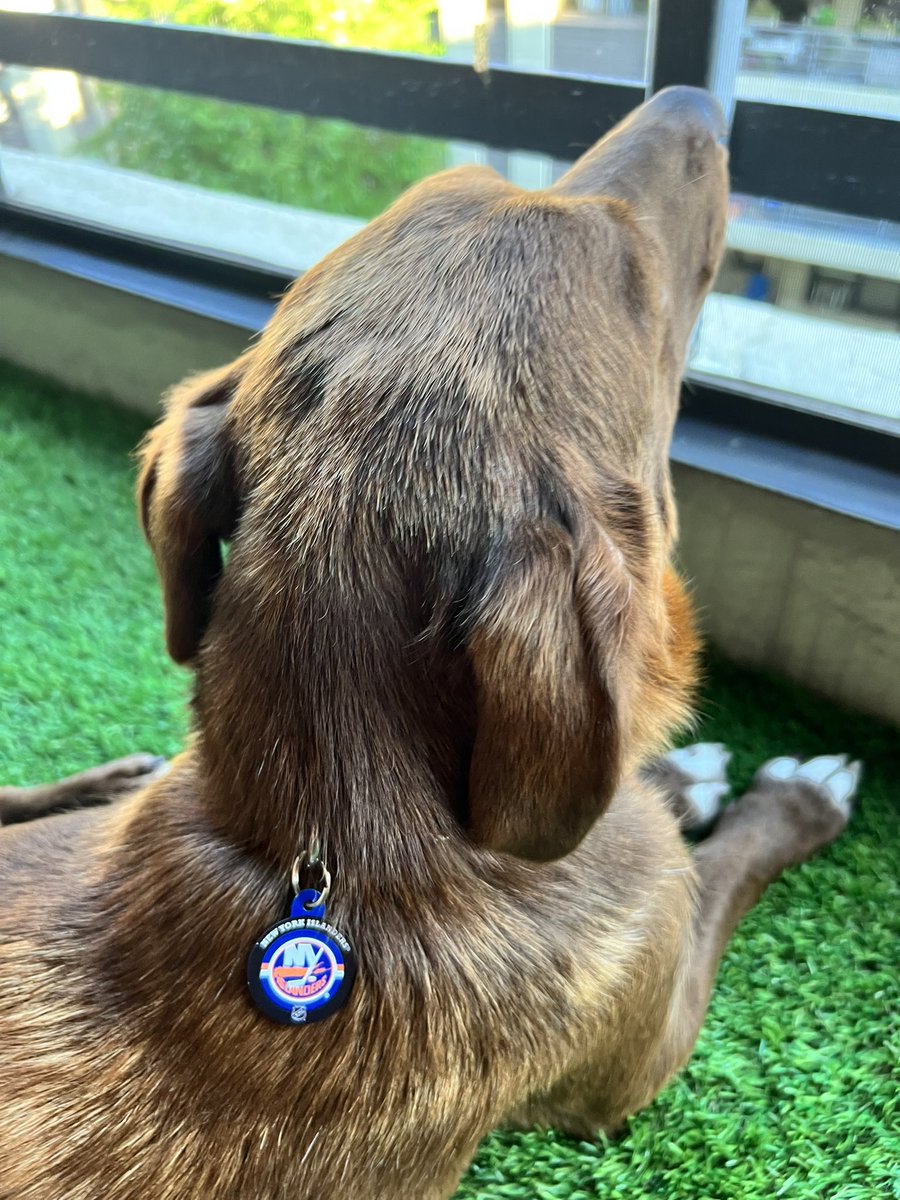 Always reppin’ <a href="/NYIslanders/">New York Islanders</a> 💙🧡