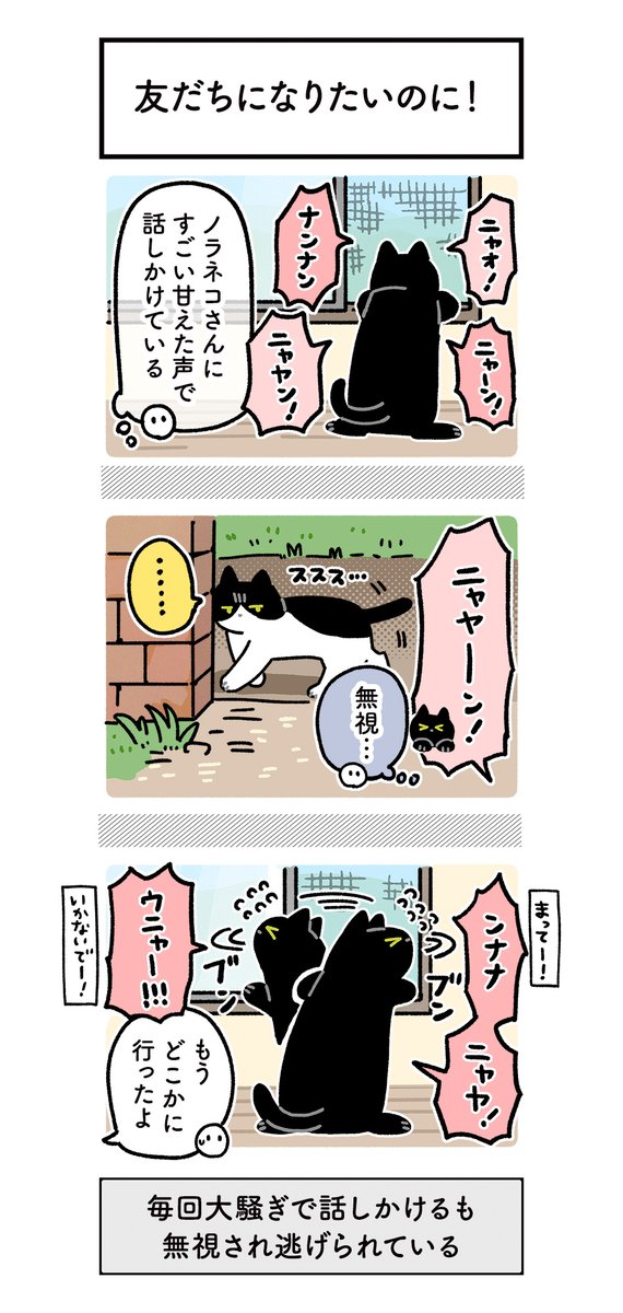 今週の絵日記はおやすみです〜かわりにろんとノラネコさんの絵日記再掲しておきます。(1/2)
このノラネコさんが子猫をつれて我が家の中庭を拠点に子育てをはじめたのだ…(たぶんろんさんの今までの仲良くしたいアピールのおかげでここで子育てしても大丈夫だと思ってもらえているのだと思う) 