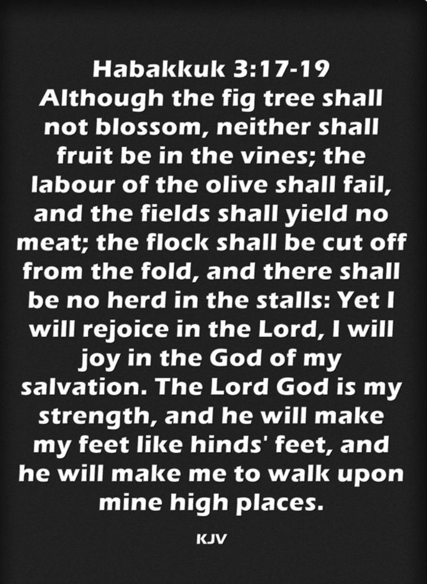 🐦Sandy Hanna🐦 tweet media