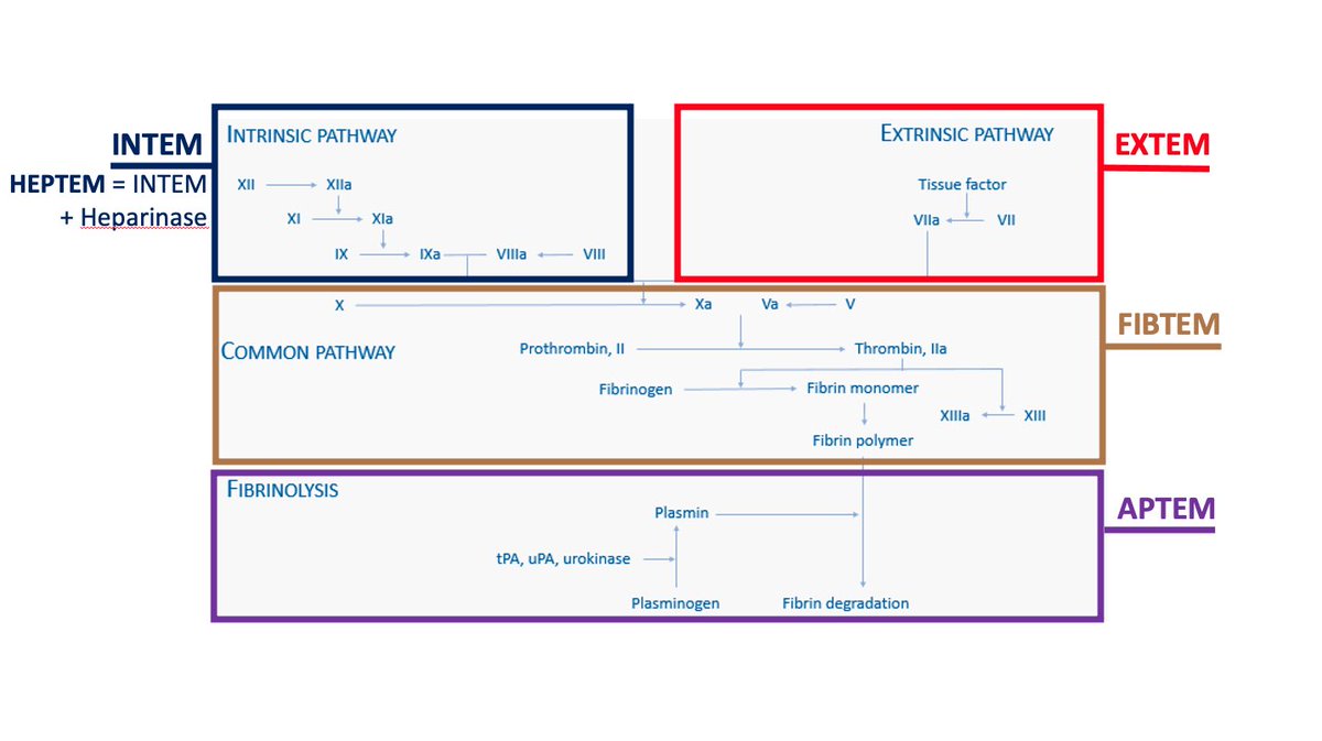 DennisDeBlick's tweet photo. My attempt to explain/simplify #thromboelastometry #ROTEM #TEG 
Still looking for good books/articles/websites/videos explaining this topic in layman’s terms. Suggestions are welcomed. https://t.co/wLCIxqRLyc