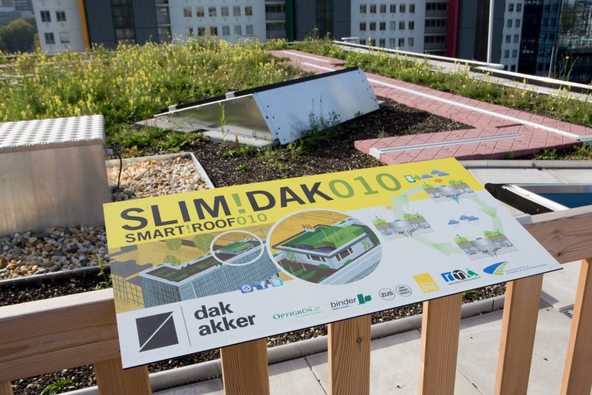 Slimdak010's tweet photo. The #slimdak / #smartroof testsite on the @d_akkers #rooftopfarm ... How does it work? Short explanation on @YouTube 📲: https://t.co/INakObkQc1 #greenblueroofs #retentionroofs #climateadaptation #waterinthecity  #stormwatermanagement https://t.co/UtPXoDxM41