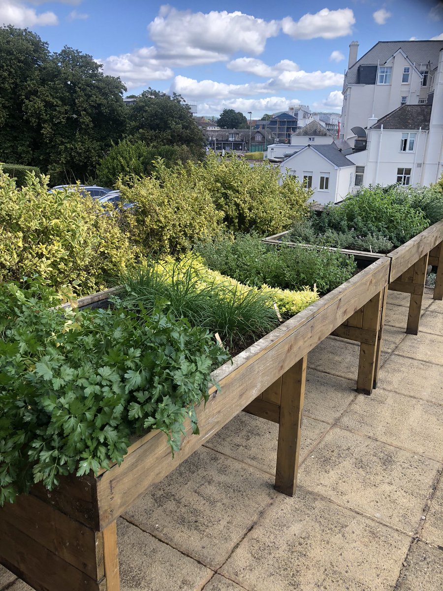 Herbs ready for <a href="/ChefStuWhite/">Stu</a> and his team <a href="/Victoriabrends/">Victoria Hotel</a>