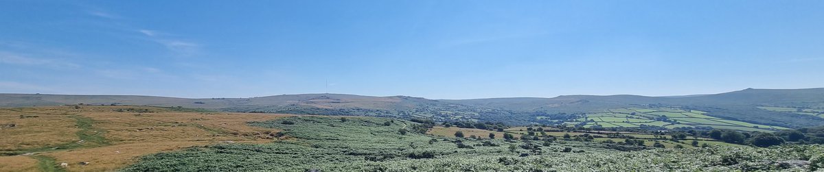 Hannah Merson FCA tweet media