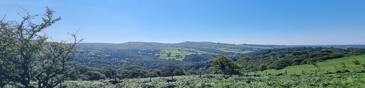 Hannah Merson FCA tweet media