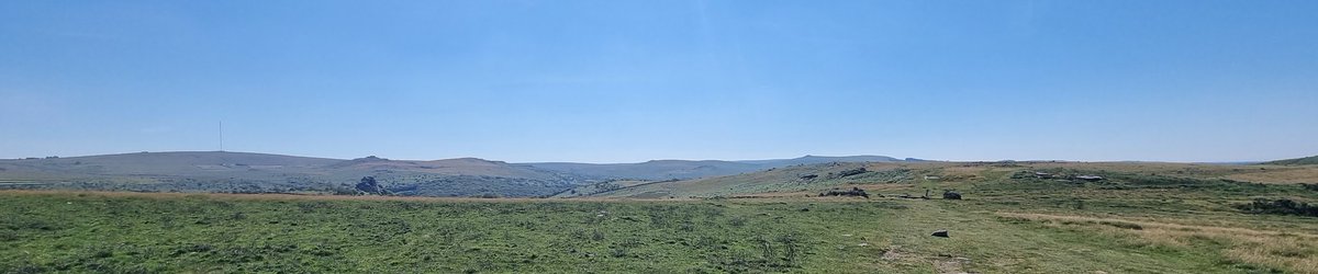 Hannah Merson FCA tweet media