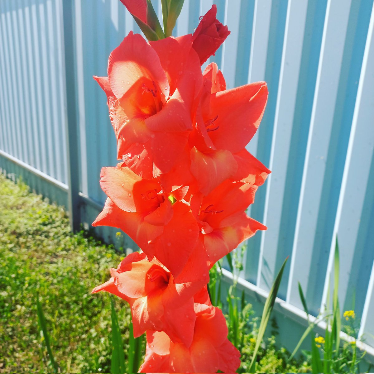 Инесса Купцова (@inessuspeshnaya) on Twitter photo 