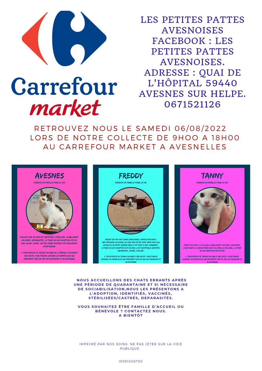 Lesptitespattes's tweet photo. Retrouvez-nous jusque 18h au magasin Carrefour Market d'Avesnelles ! 
#chat #chaton #adoption #avesnessurhelpe #association #catlovers #adoptdontshop #refugechat #sauvetageanimal #chatabandonne #amourdechat #ronron #miaou #matou #cat #famille #lespetitespattesavesnoises https://t.co/L7ZBAn8VXB