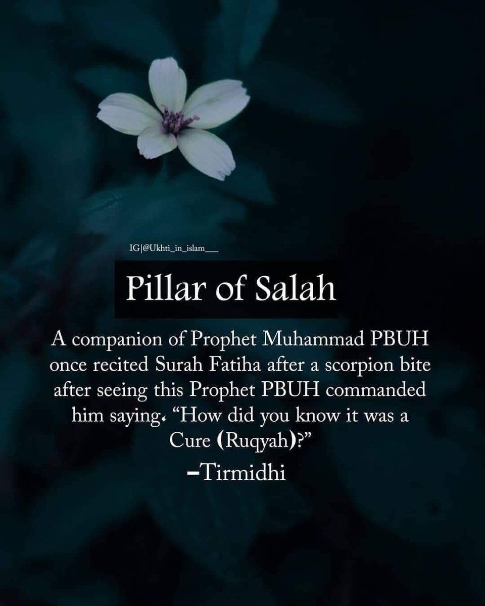 Nasir Ahmad El-Rufai on X, image size:960x1200