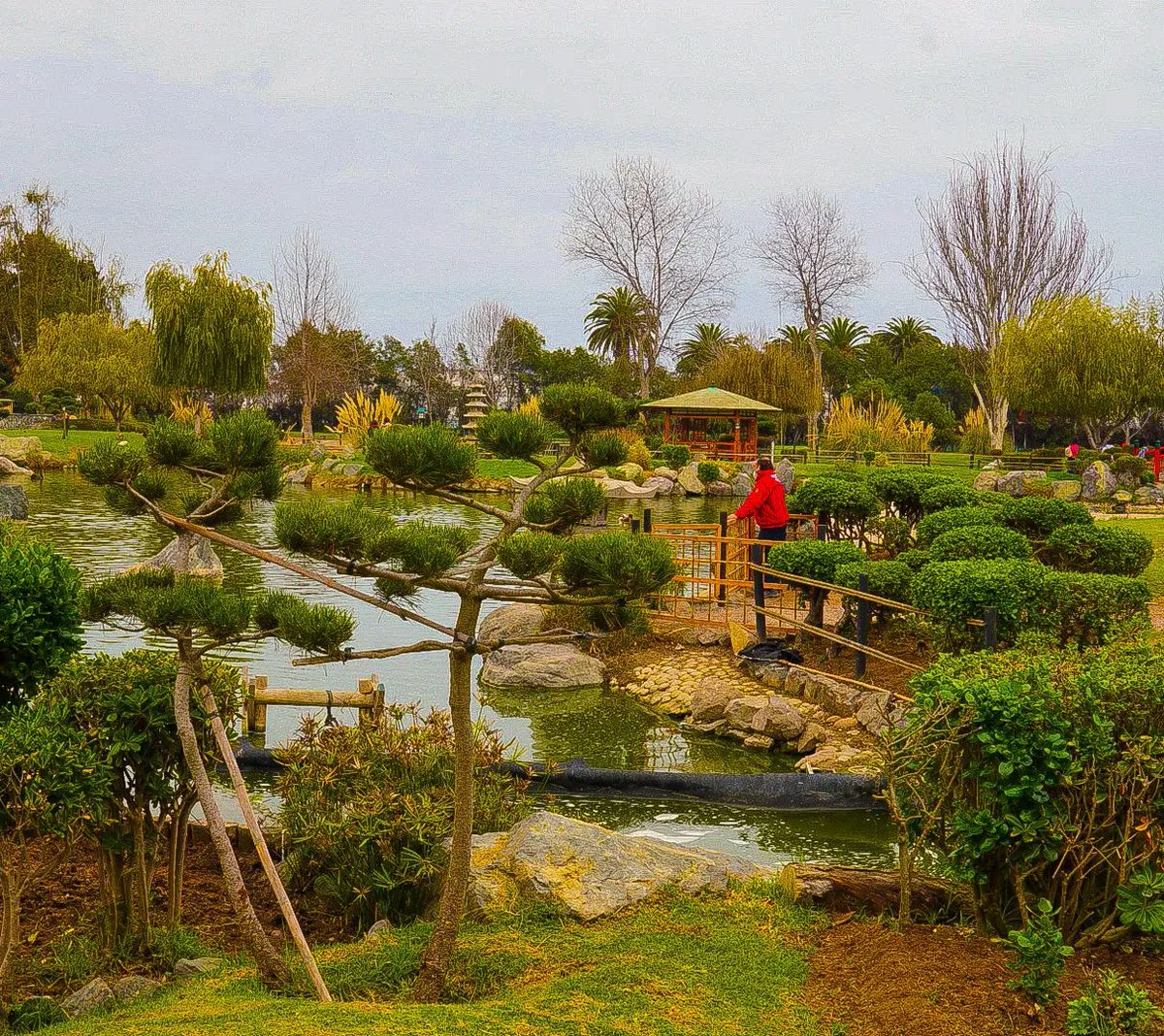 LaSerenaTeamo's tweet photo. Agosto 2022
Parque Japonés “Kokoro no niwa”

📷 street.asm

#LaSerena 
#NortedeChile https://t.co/DcDDgJAAy8
