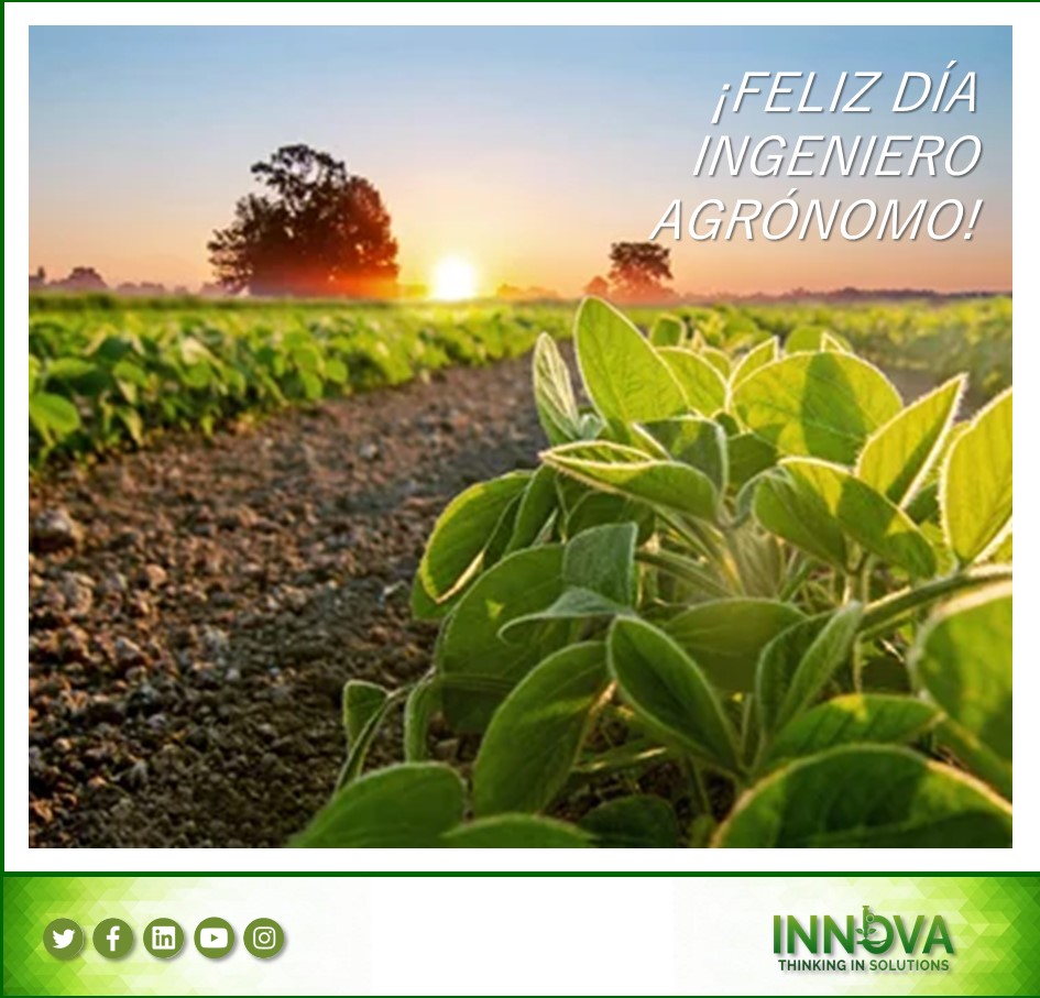 IAgroservicios's tweet photo. Una profesión, un estilo de vida, una pasión.
Ellos tabajan incansablemente cuidando el presente y el futuro, mejorando día a día la productividad de nuestra tierra🌱
Feliz día a nuestros Ingenieros Agrónomos!
@mjcricco
@cecicolome
#diadelingenieroagronomo #somosinnova https://t.co/xzsUnpsHKD