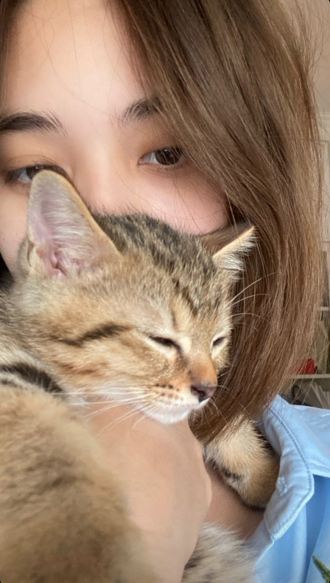 hourlyfah's tweet photo. fah with her cats 🤏🏻

#fahyongwaree https://t.co/zOBpuRd0LD