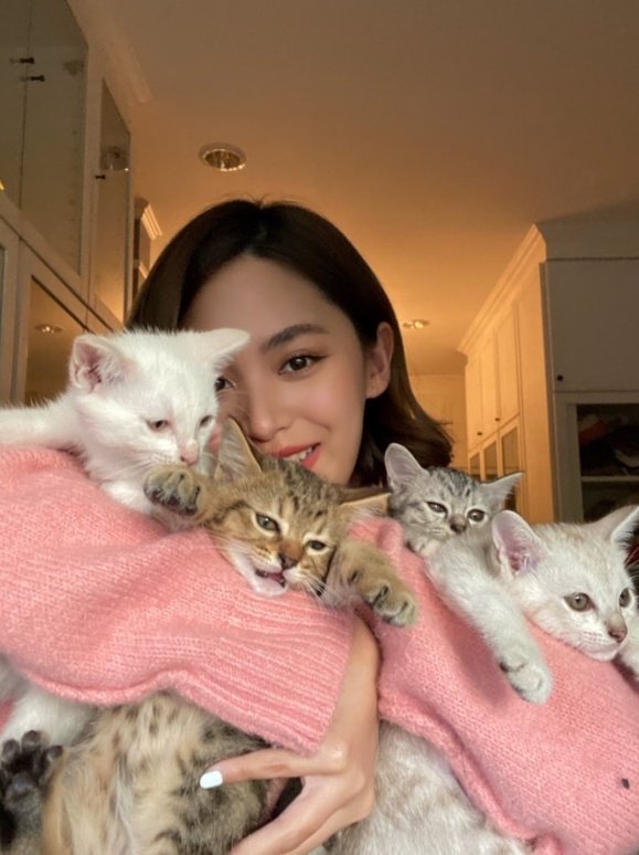 hourlyfah's tweet photo. fah with her cats 🤏🏻

#fahyongwaree https://t.co/zOBpuRd0LD