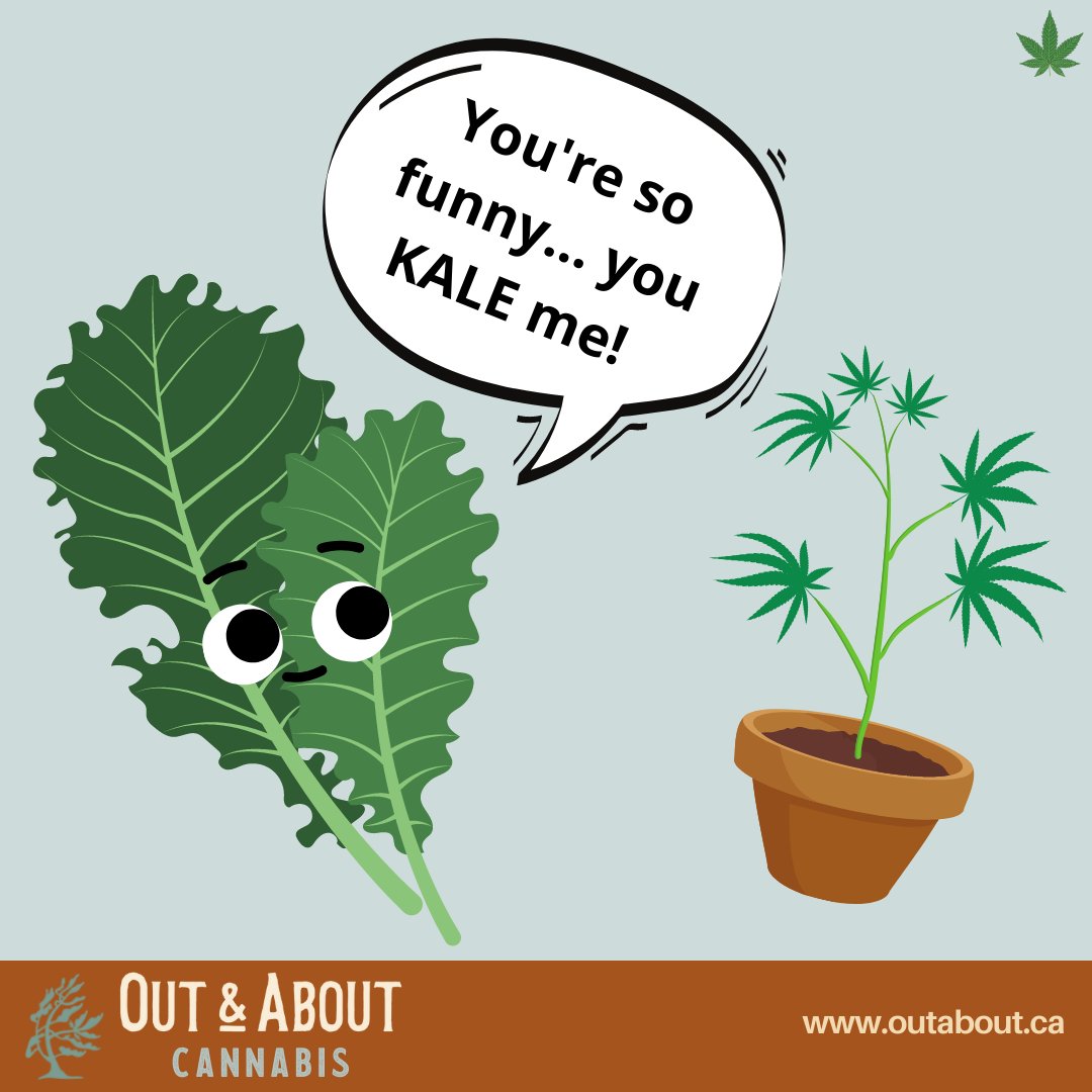 outaboutca's tweet photo. When kale takes a fancy to hemp...

#ilovegettingoutandabout #riversidesouth #ottawa #myottawa #bestofottawa #613 #ottawalife #yow #ottcity #ottawaliving #ottawacity #barrhaven #613ottawa #manotick #local613 #ottawastoners #613local #613stoners #greely #osgoode #ottawainsider https://t.co/H5X5lX14mH