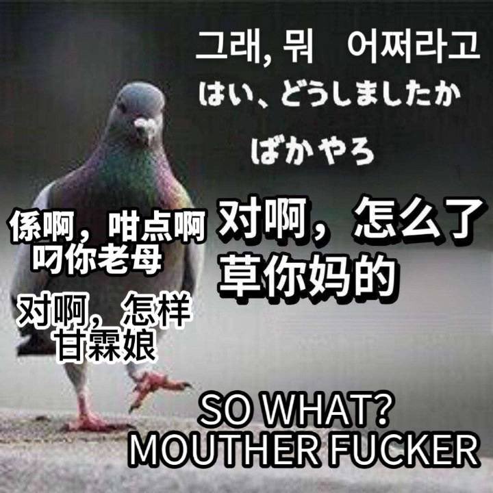 madpudding007's tweet photo. @big_ear_cat https://t.co/a37uS67nuJ