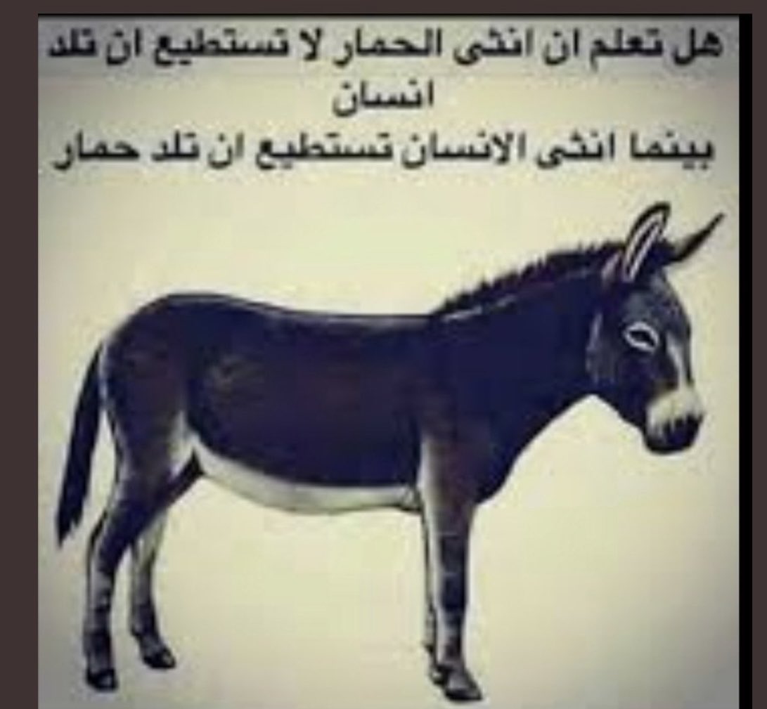 <a href="/aliraqia75/">العراقية🇮🇶</a>