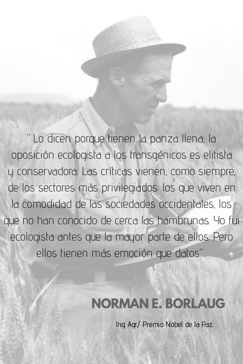 Luchito NG tweet media