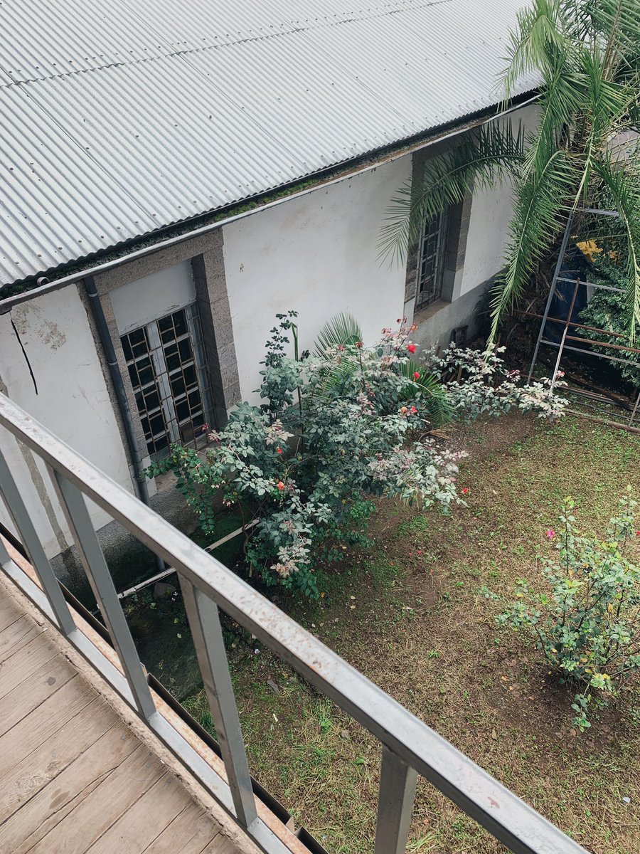 dotab_'s tweet image. Here is where i spend most of my day: Yekatit 12 Hospital Medical College 

Where do you spend most of your day ? 

Reply with a photo tweet😁!