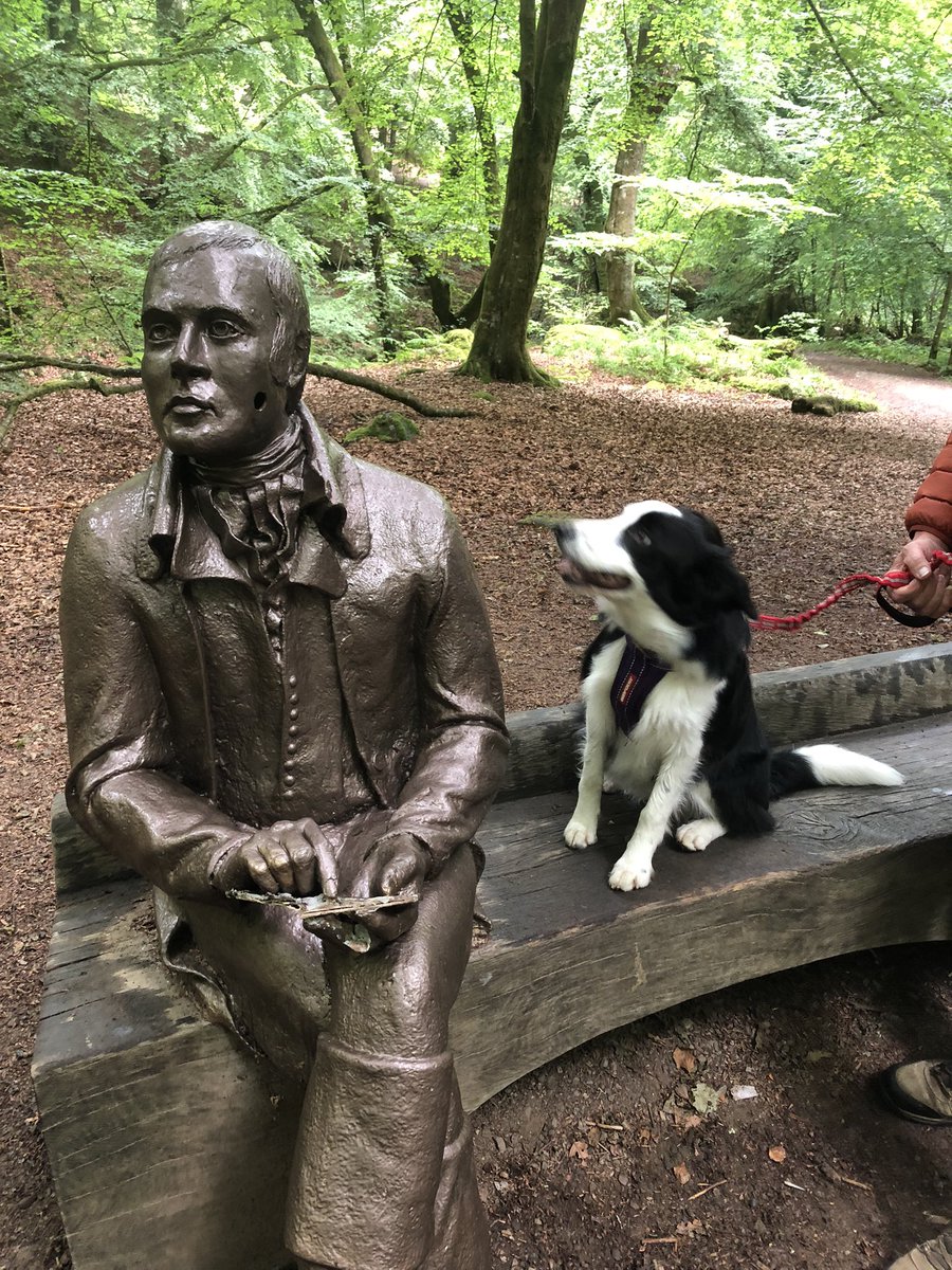 KinlochSusan's tweet photo. When Orla met Rabbie #birksofaberfeldy #highlands #scotland ๐ด๓ ง๓ ข๓ ณ๓ ฃ๓ ด๓ ฟ https://t.co/ypt1hkZ49p