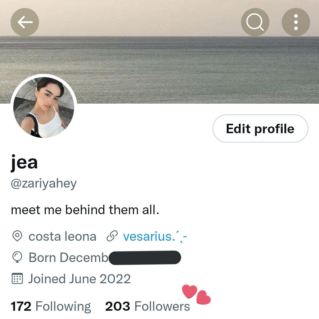 zariyahey's tweet photo. happy 203 billion followers !🫶🏻 https://t.co/bFcihCJ9qh