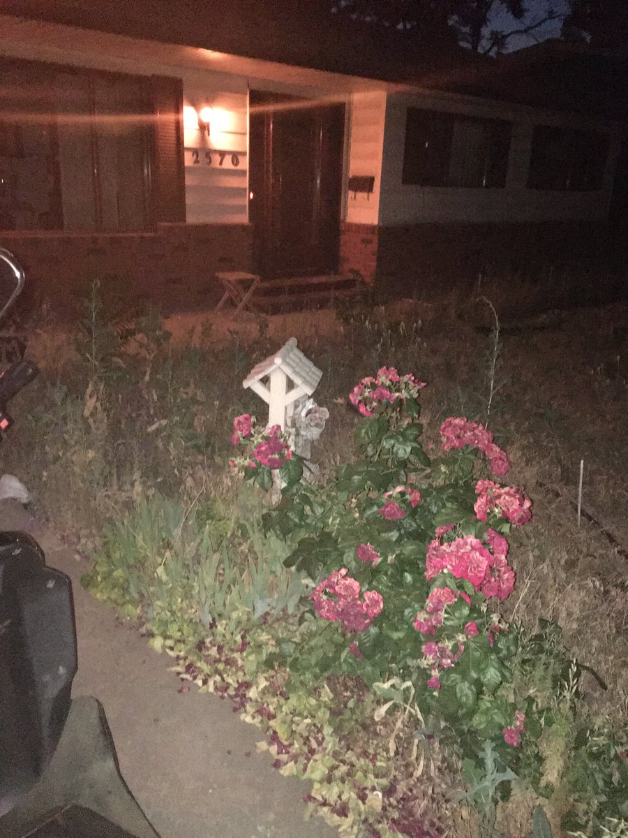 Orcaman007's tweet photo. @lorigraceaz A little bit of some roses and some spoons of the world both part of my world https://t.co/HPfvU3sdn9