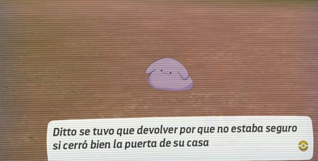 Redsfusion's tweet photo. Todos hemos sido Ditto alguna vez https://t.co/iLCjV0s2RF