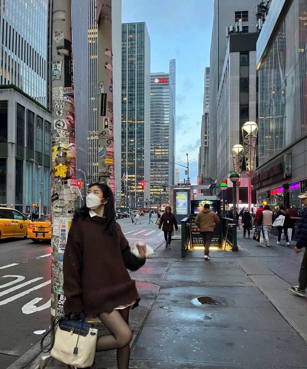 Little Raccoon tweet media