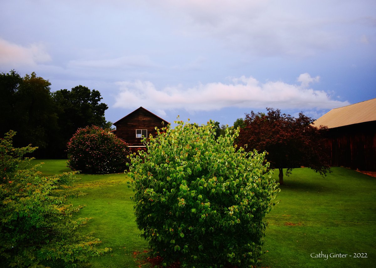 CathyGinter's tweet photo. Our homestead last evening here in western Pennsylvania... everything is sooo green ~ #BetweenStorms #MagicHour #RainBlessings https://t.co/IBPY8apTue