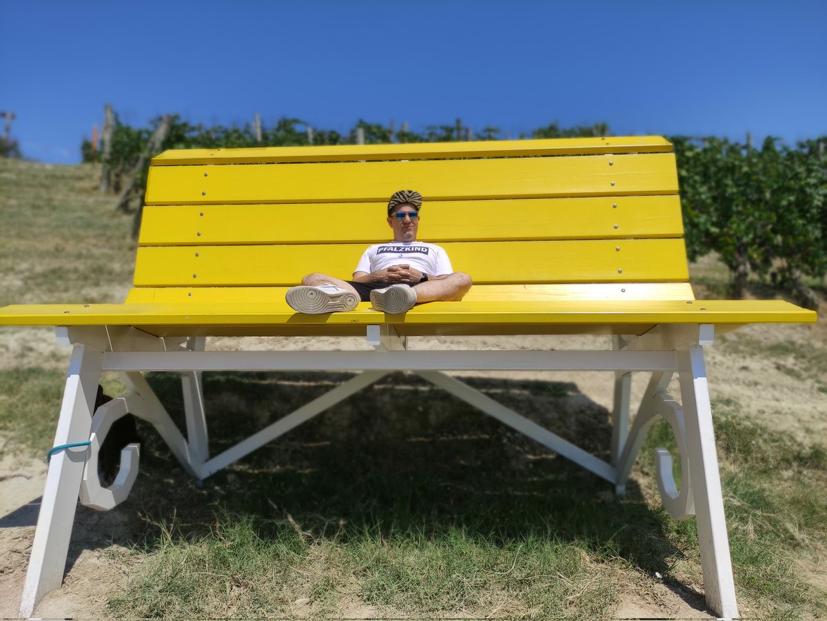 Tour of the big benches. Tiny humans and dog. #familytime #italypiemont #cleoontour