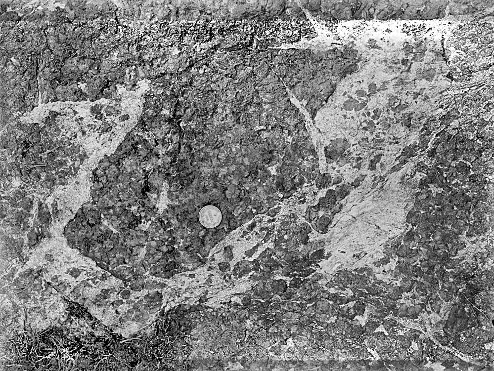 GeoPhotoBot tweet media