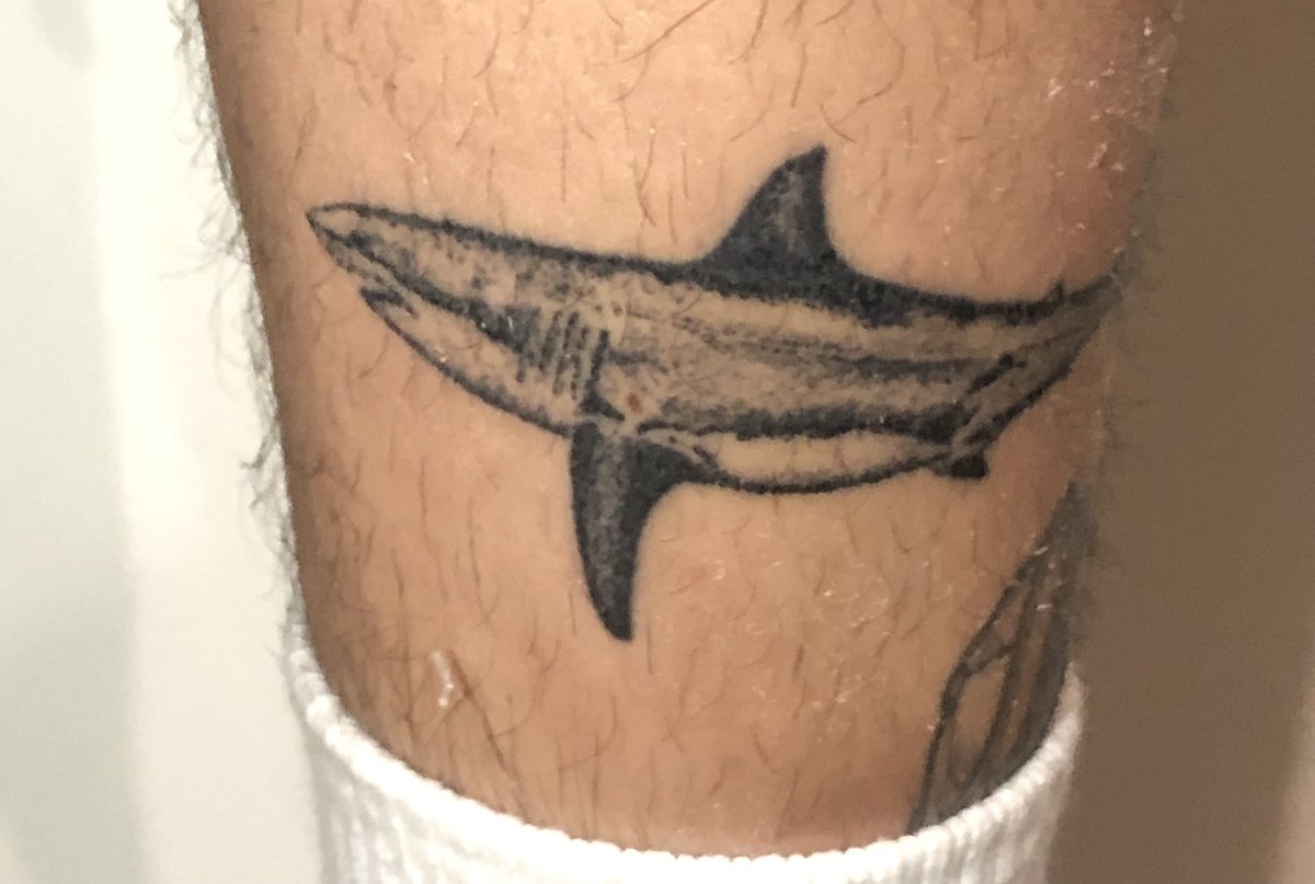 VeryWilliam3's tweet photo. Healed sharky https://t.co/HWWufIqPbA